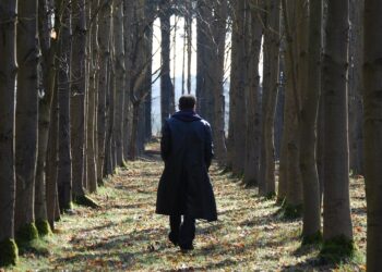 Mending the Broken Heart: Strategies for Emotional Restoration